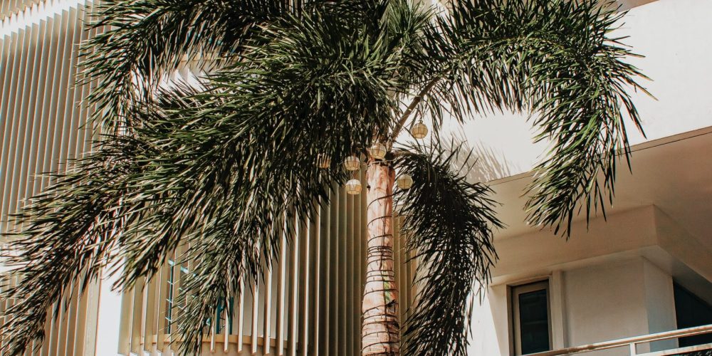 pexels-nothing-ahead-3460599